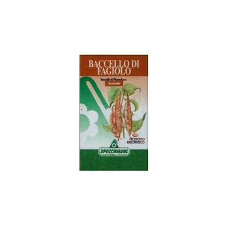 Bacello Fagiolo Erbe 140tav