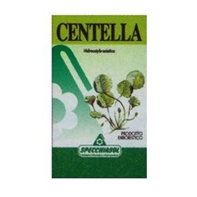 Centella Asiat Erbe 80 Capsule