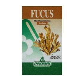 Fucus Erbe 150tav