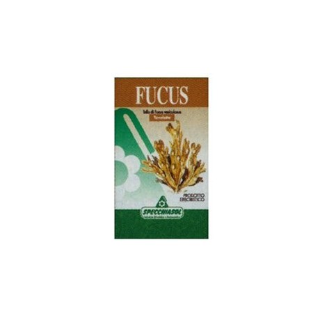 Fucus Erbe 150tav