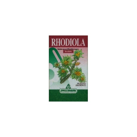 Rhodiola Erbe 60tav