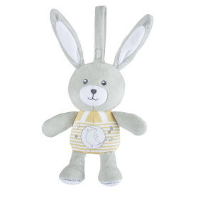 Ch Gioco Fd Lullaby Star Bunny