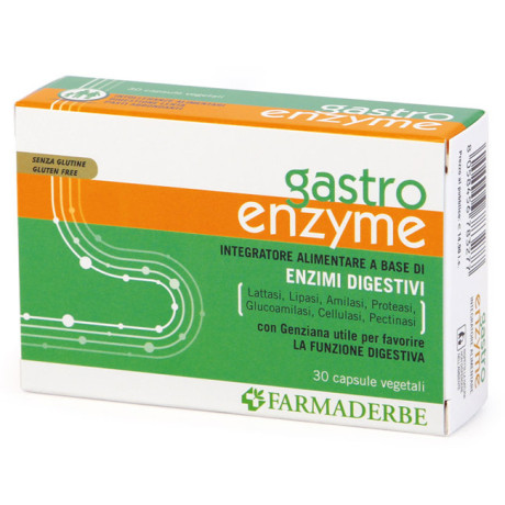 Gastro Enzyme 30 Capsule