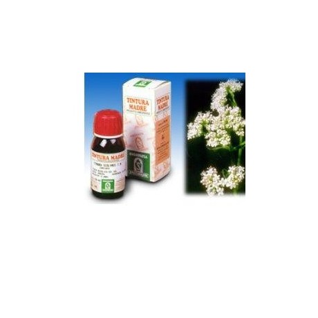 Valeriana 36 Tm 50ml