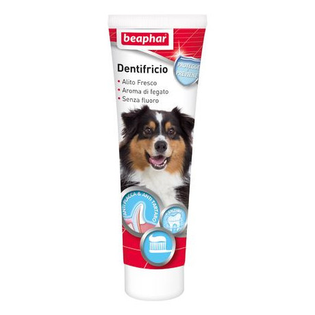 Dentifricio 100g
