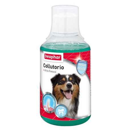 Collutorio 250 ml