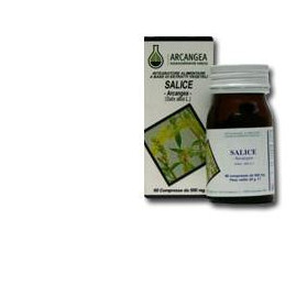 Salice 60 Capsule 500mg