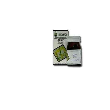 Salice 60 Capsule 500mg