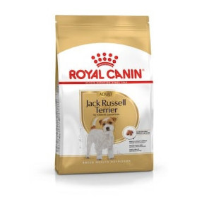 Breed Health Nutrition Jack Russell Adult 1,5 Kg
