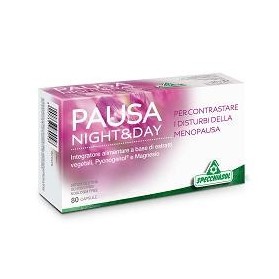 Pausa Night & Day 80 Capsule