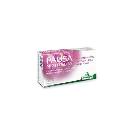 Pausa Night & Day 80 Capsule