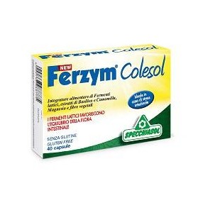 Ferzym Colesol 40 Capsule New