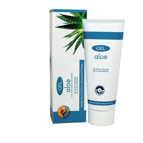 Gel Aloe 100ml