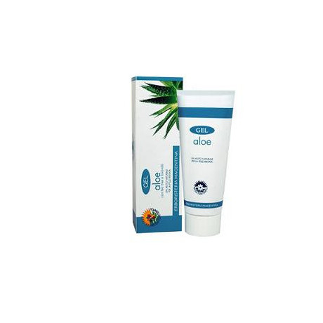 Gel Aloe 100ml