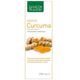Curcuma Bio Succo 250 ml
