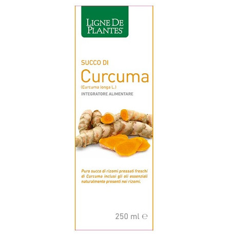 Curcuma Bio Succo 250 ml