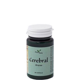 Cerebral Ayurved 60 Capsule