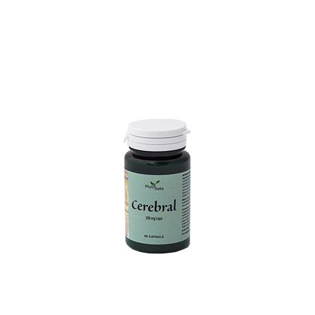 Cerebral Ayurved 60 Capsule