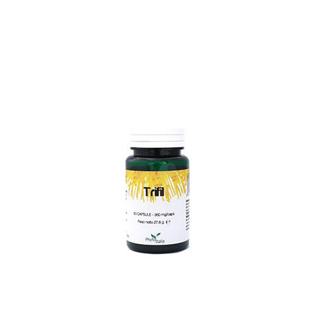 Trifil 60 Capsule