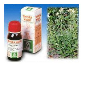 Achillea 51 50ml Tm