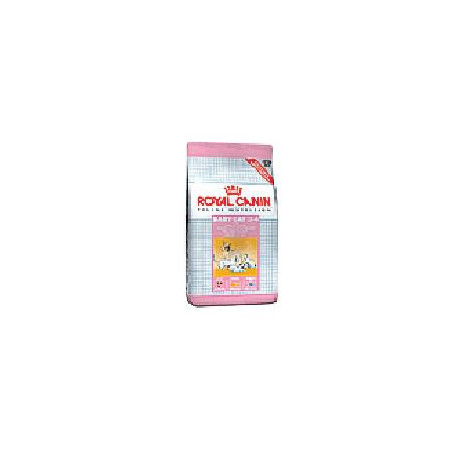 Feline Health Nutrition Mother & Babycat 34 400 g