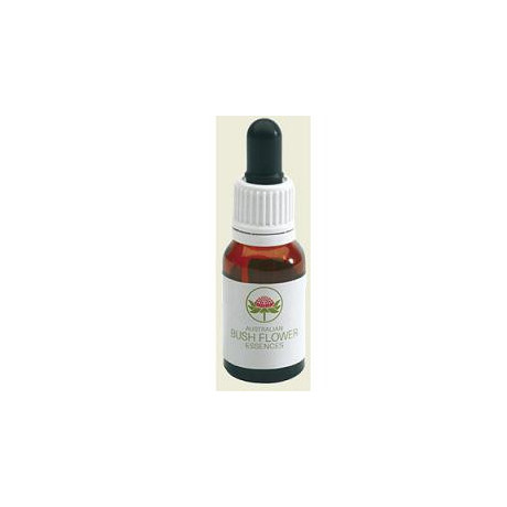 Illawarra Flame Tree 15ml Gocce