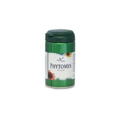 Phytomys 60 Capsule