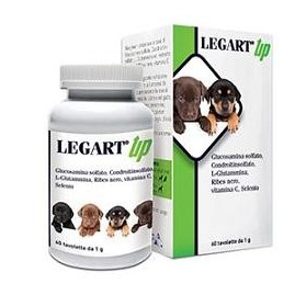 Legart Up 60 Compresse Da 1 g