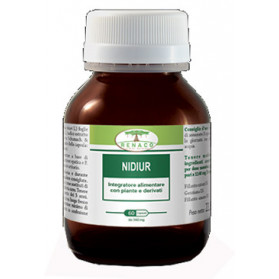 Nidiur 60 Capsule