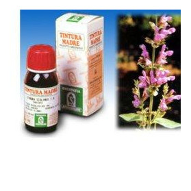 Salvia 25 50ml Tm