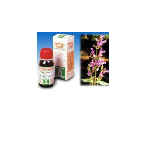 Salvia 25 50ml Tm