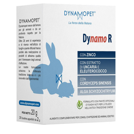 Dynamo R 20 Bustine 2g