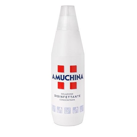 Amuchina 100% Concentrata 1 Litro Promo