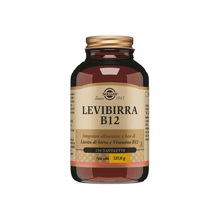 Levibirra B12 250tav