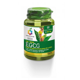 Colours Of Life The Verde Egcg 60 Capsule 551 mg