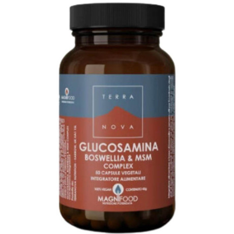 Terranova Complesso Di Glucosamina Boswellia E Msm 50 Capsule