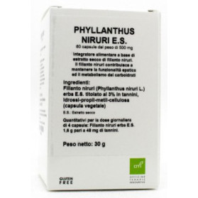 Phyllanthus Niruri Es 60 Capsule
