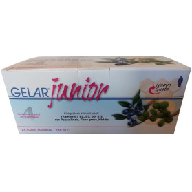 Gelarjunior 28 Fiale 10 ml