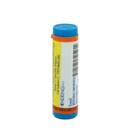 Arnica Montana 200k Gr 1g
