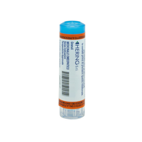 Ledum Palustre 7ch 80gr 4g