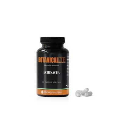 Echinacea 50 Capsule