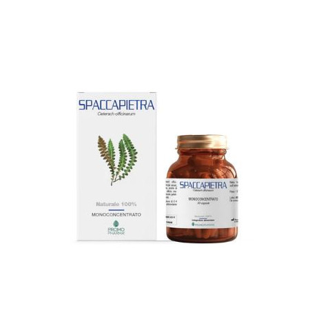Spaccapietra 50 Capsule