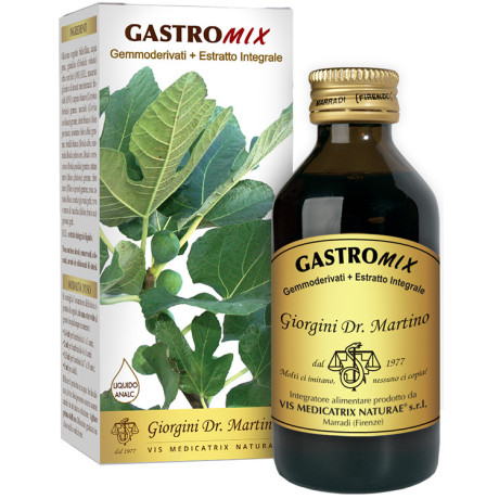 Gastromix Liquido Analcolico 200 ml