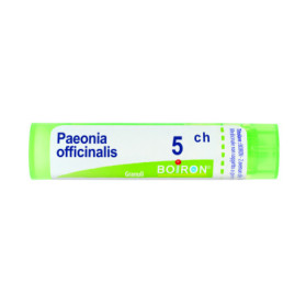 Paeonia Officinalis 5ch 80gr