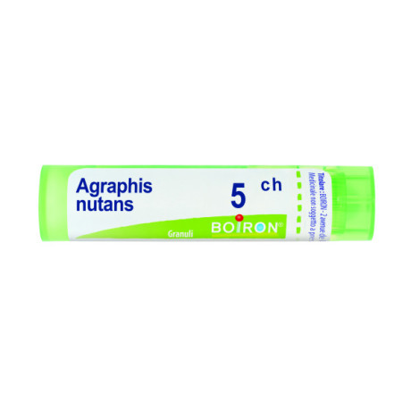 Agraphis Nutans 5ch 80gr 4g