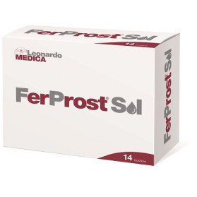 Ferprost Soluzione 14 Bustine