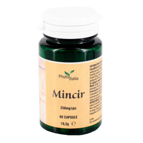 Minceur Ayurved 60 Capsule