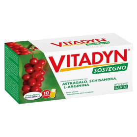 Vitadyn Sostegno 10 Flaconcino