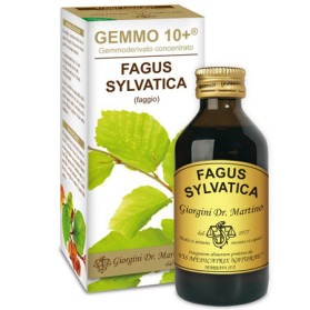 Faggio 100 ml Liquido Analcoolico Gemmo 10+