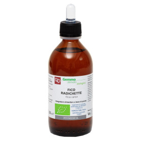 Fico Radichette mg Bio 200ml